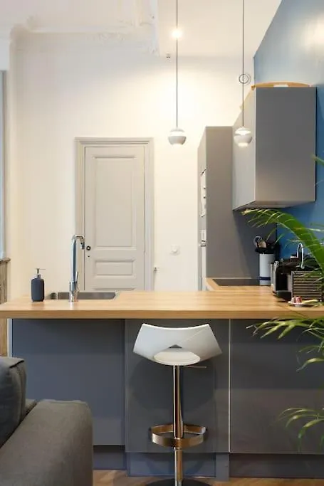 Renovated Spacious Parisian Apt Near La Madeleine Apartment Paris